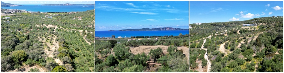 Plot of land P26: Stunning Sea Views, Valid building permit, Surface 4.500 m², 1.3km to the nearest sandy beach and the shops of Gialova, 2 km to the nearest signature Golf course.