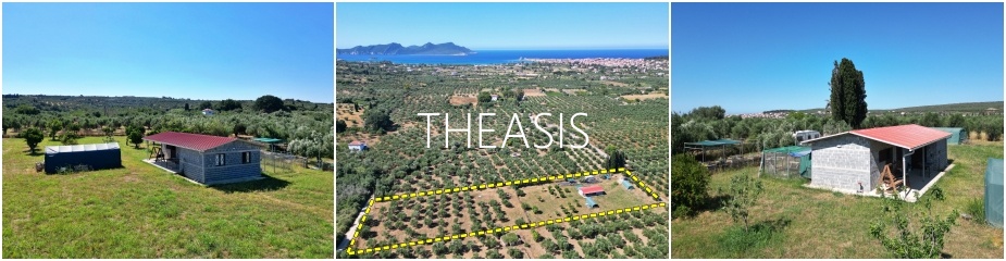 Stable - Farm House ref.421 – Renovation project nearby (2km) Methoni – agricultural land – plot 6,300 m² - stable 60 m² - 70 mature olive trees - 26 fruit trees - old stone-built water well - easy access.